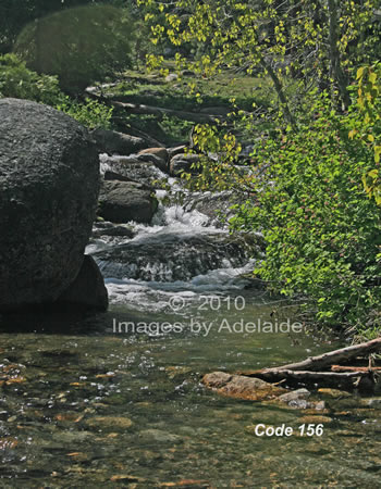 Bell Creek
